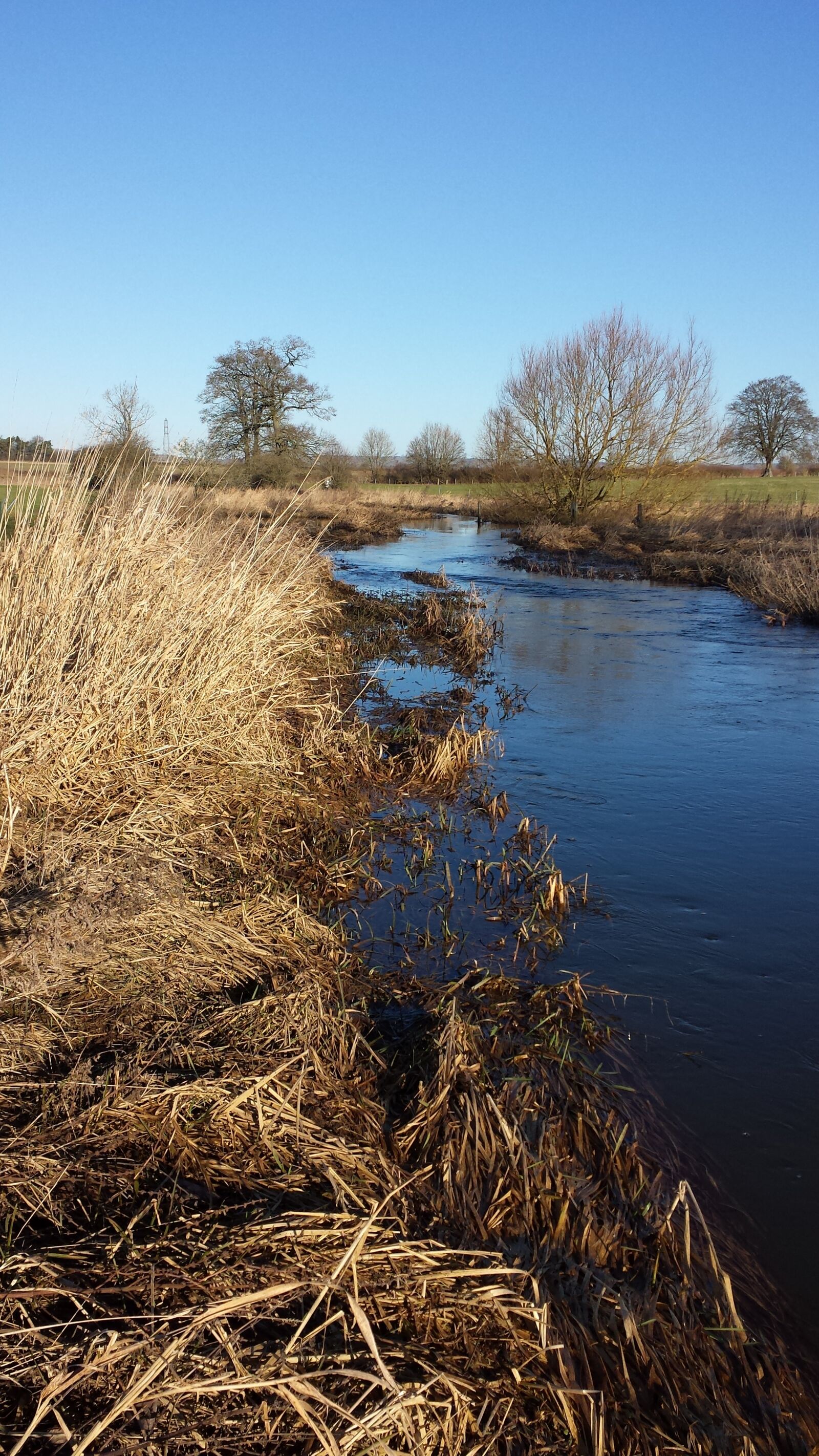 Samsung Galaxy S4 sample photo. River, winter, countryside photography