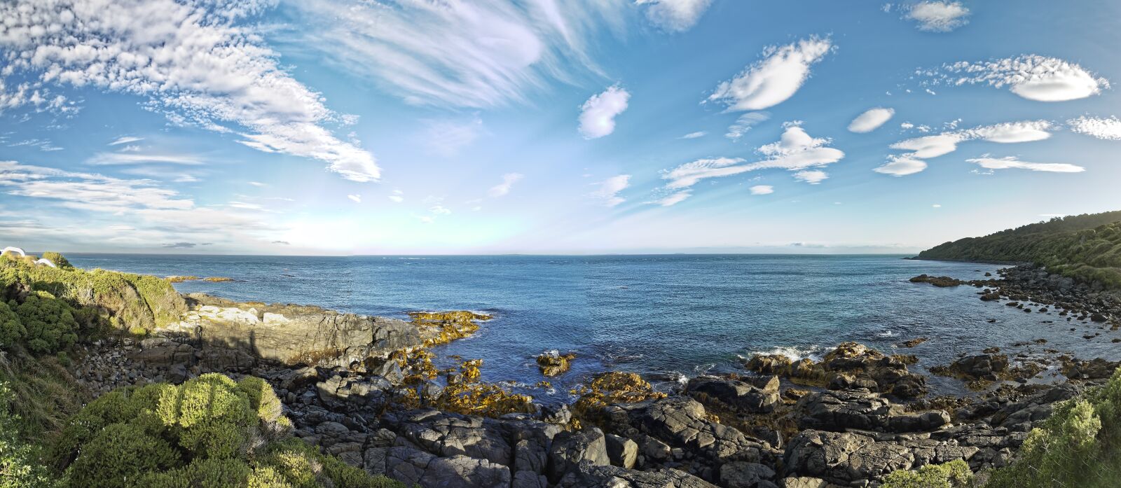 Nikon D500 sample photo. New zealand, stirling point photography