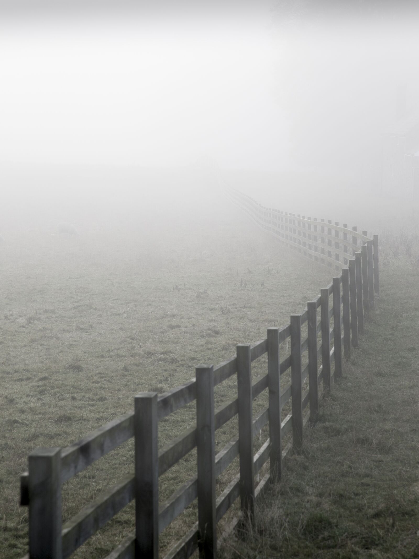 Canon EOS 6D + Canon EF 24-105mm F4L IS USM sample photo. Fence, mist, landscape photography