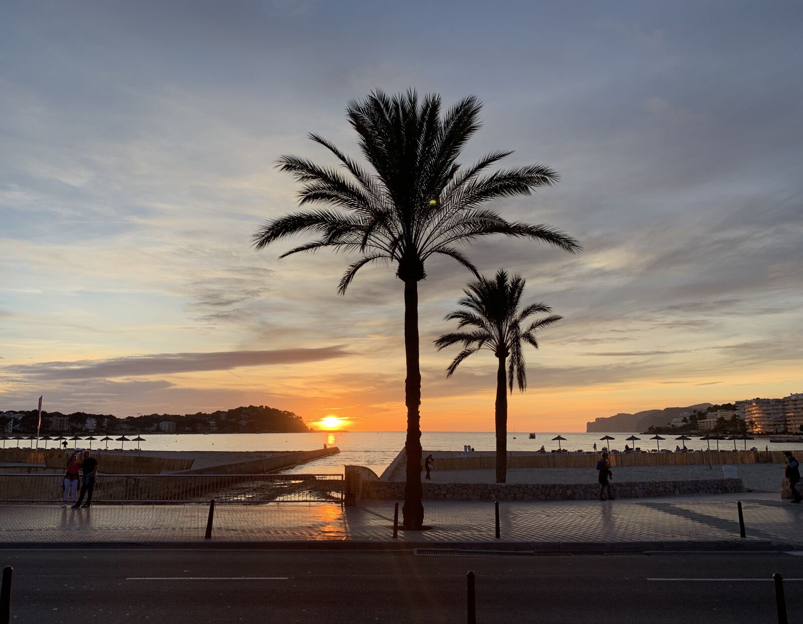 Apple iPhone XR sample photo. Sea, palm, sundown photography