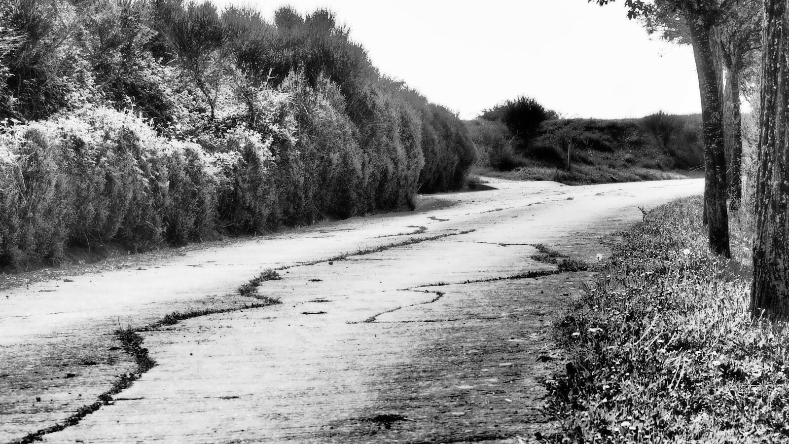 Olympus OM-D E-M10 sample photo. Path, nostalgia, old photography