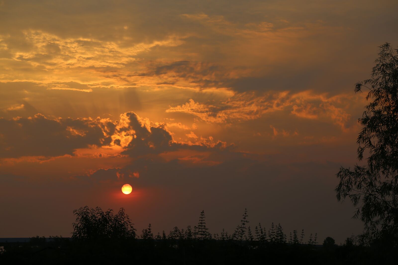 Canon EOS 6D + Canon EF 24-105mm F4L IS USM sample photo. The scenery, sunset photography