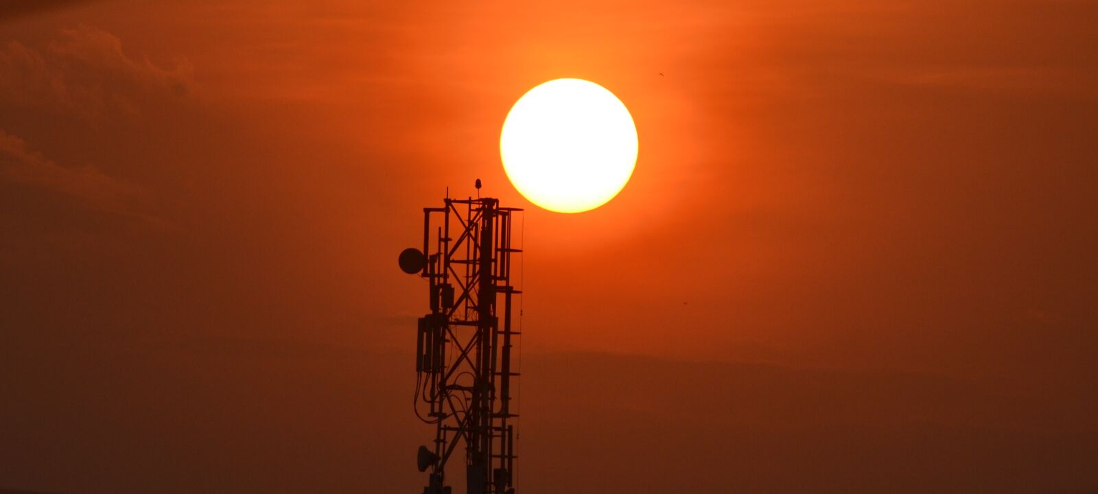 Nikon D3100 sample photo. Evening, evening, sun, golden photography