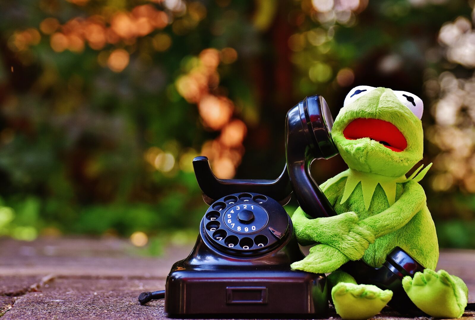 Nikon D7200 sample photo. Kermit, frog, phone photography