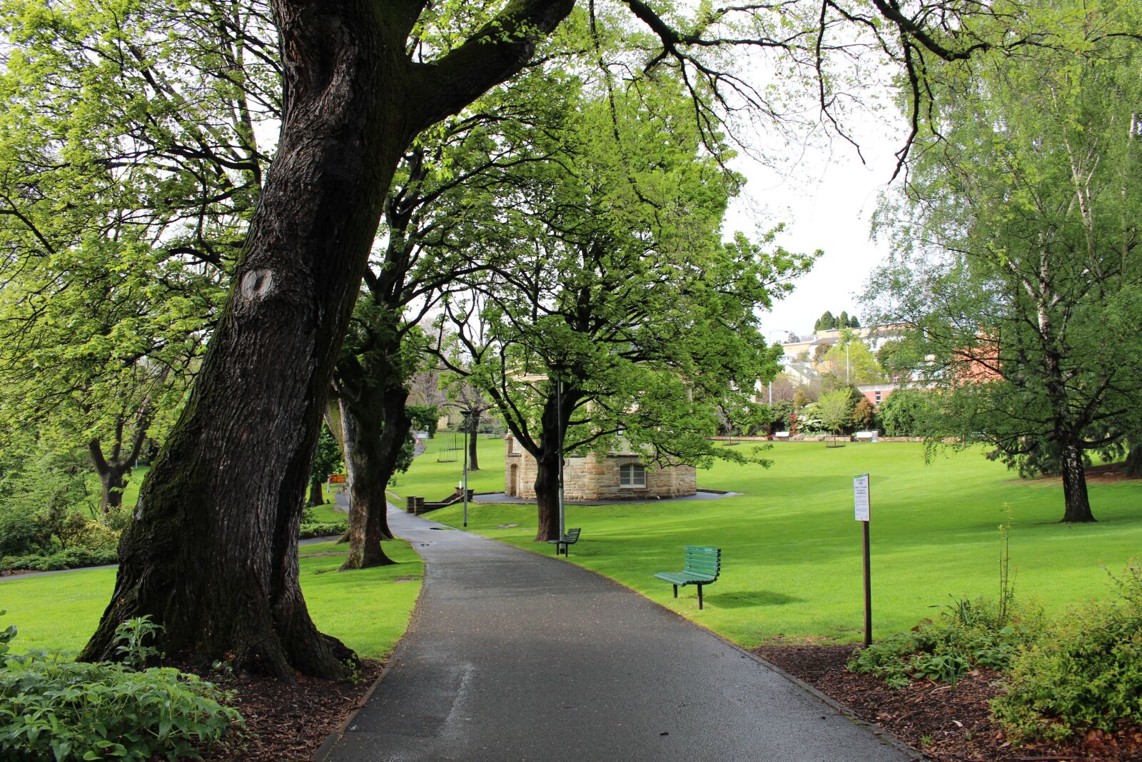 Canon EOS 100D (EOS Rebel SL1 / EOS Kiss X7) sample photo. Saint david's park, australia photography