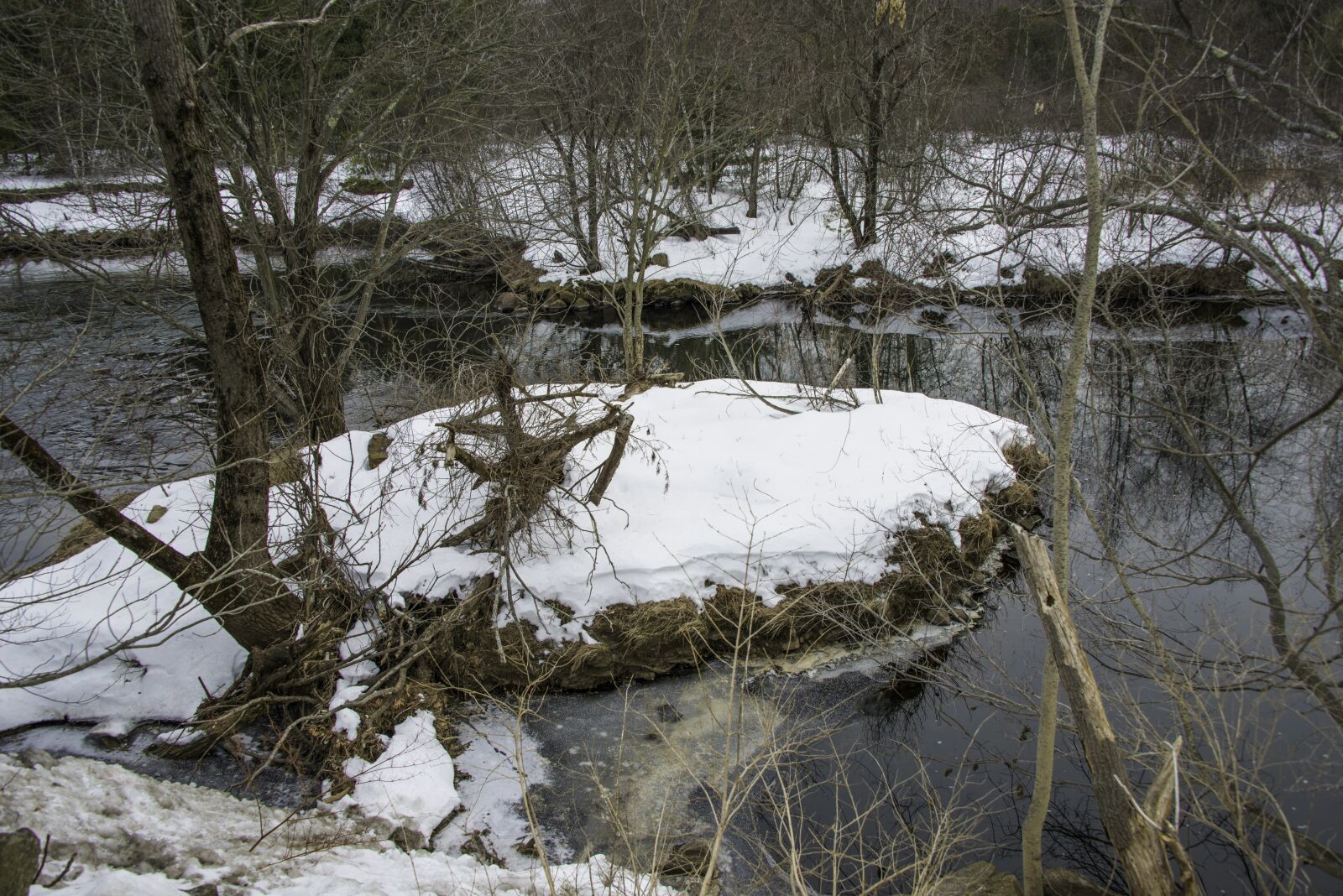 Nikon D800 sample photo. Winter, snow, water photography