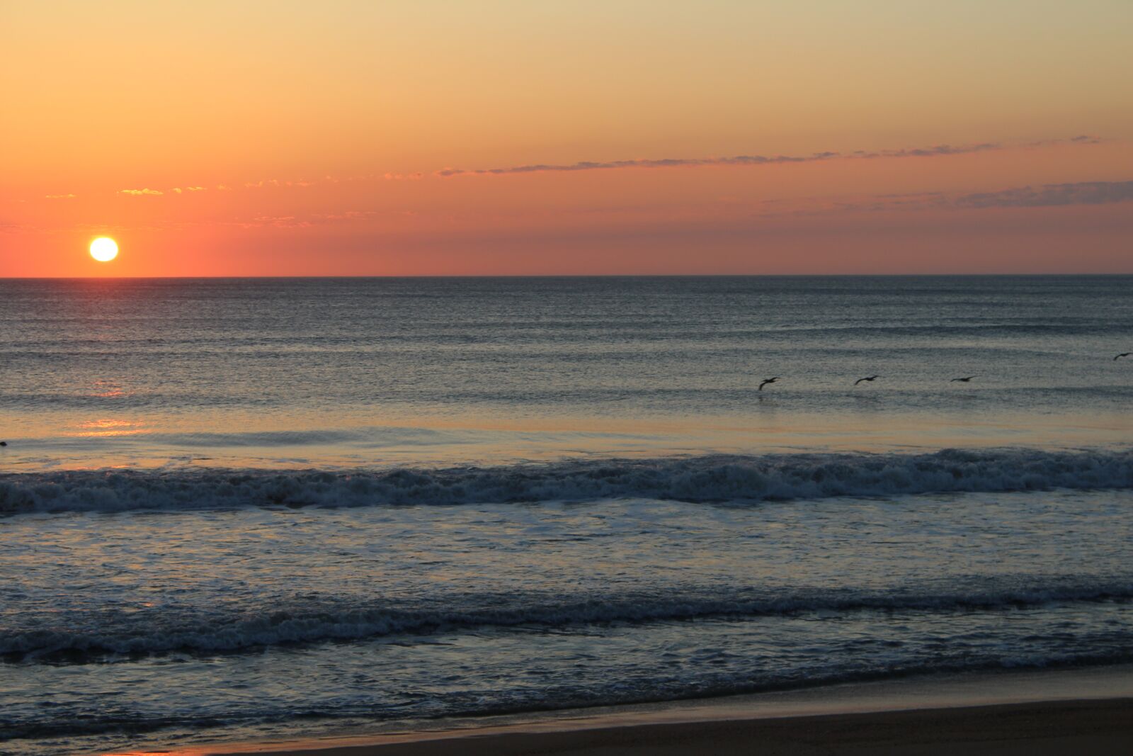 Canon EOS 1200D (EOS Rebel T5 / EOS Kiss X70 / EOS Hi) sample photo. Sunrise, seagulls, ocean photography