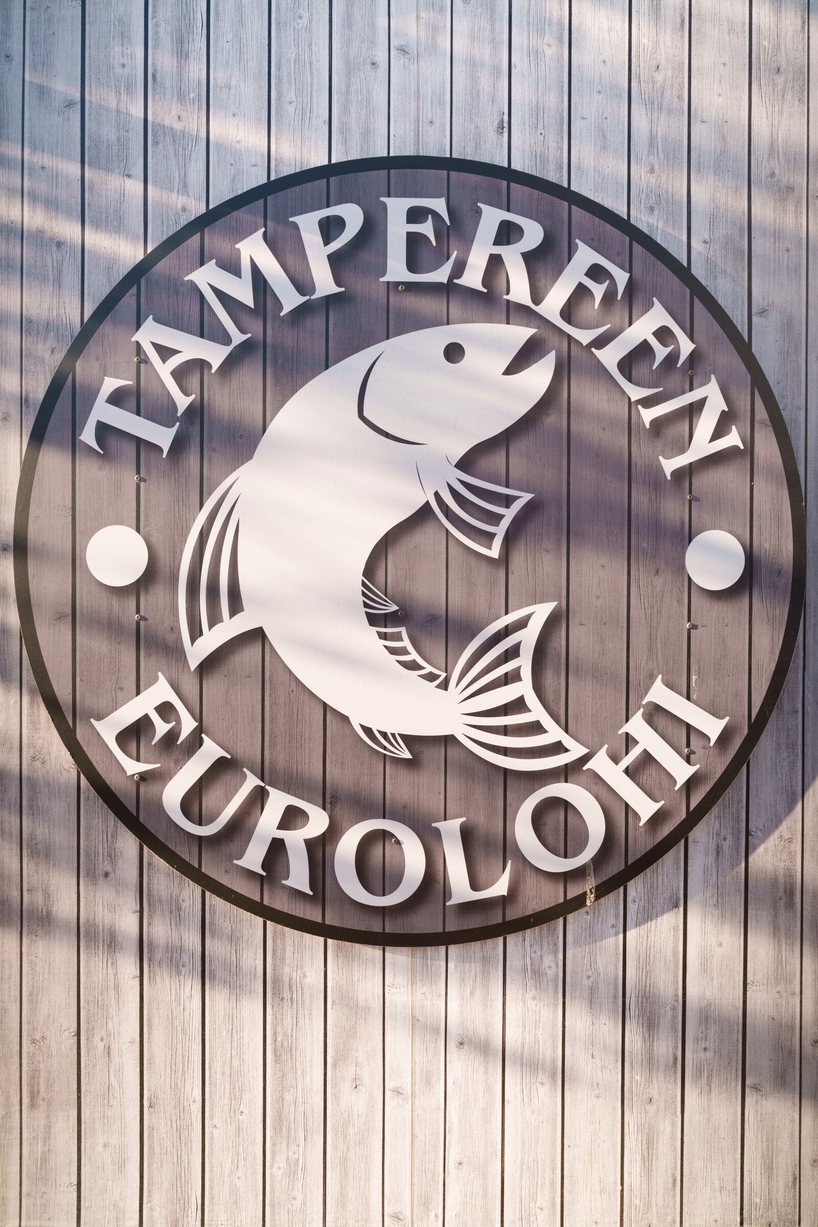Sony a7R V sample photo. Salmon sales photography