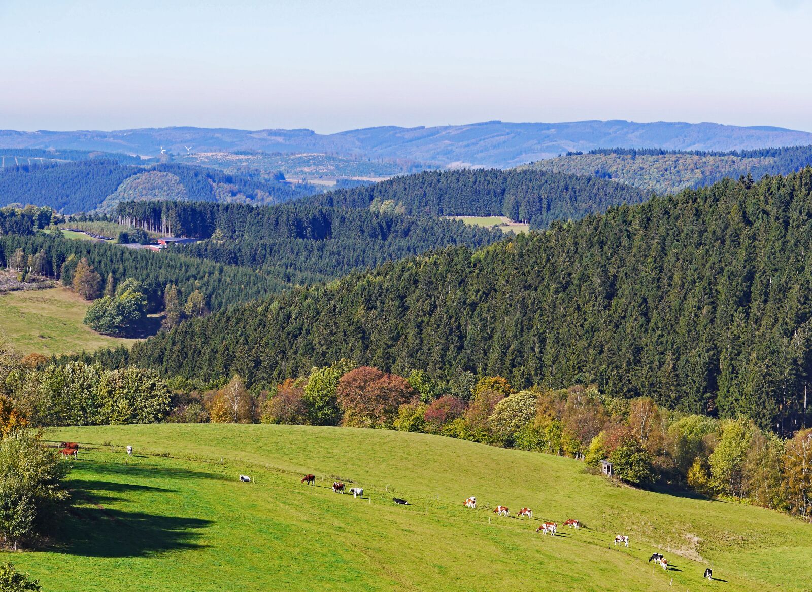 Panasonic Lumix DMC-GH3 sample photo. Sauerland, homert, highlands photography