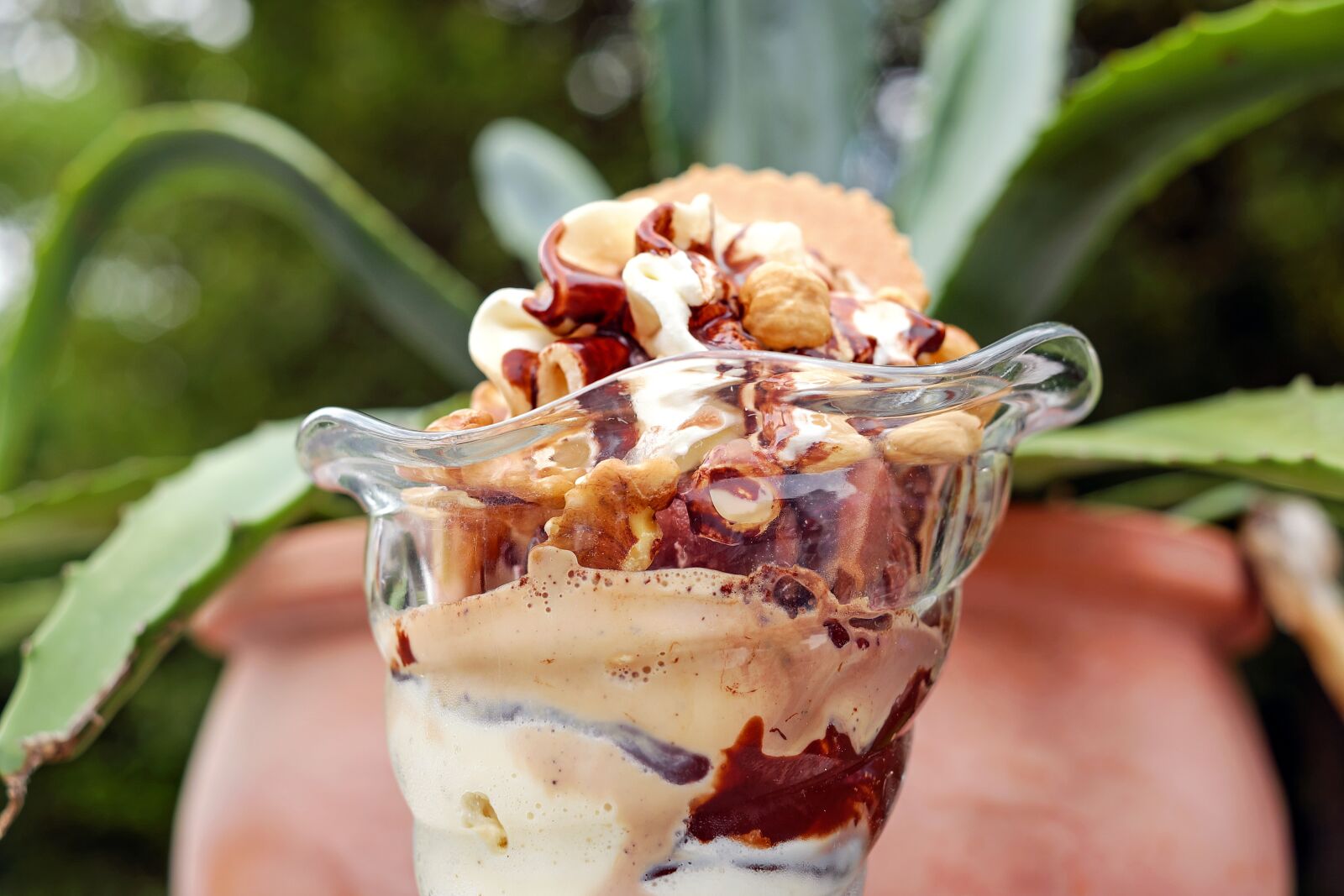 Fujifilm X-T10 + Fujifilm XF 35mm F1.4 R sample photo. Ice cream sundae, nut photography