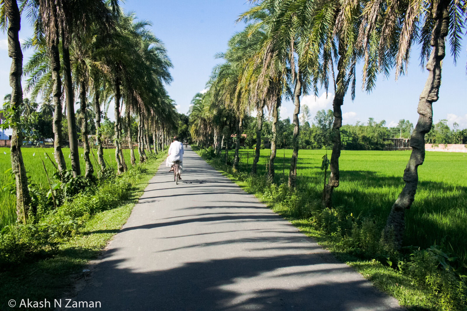 Canon EOS 70D sample photo. Bangladesh, beautiful, village photography