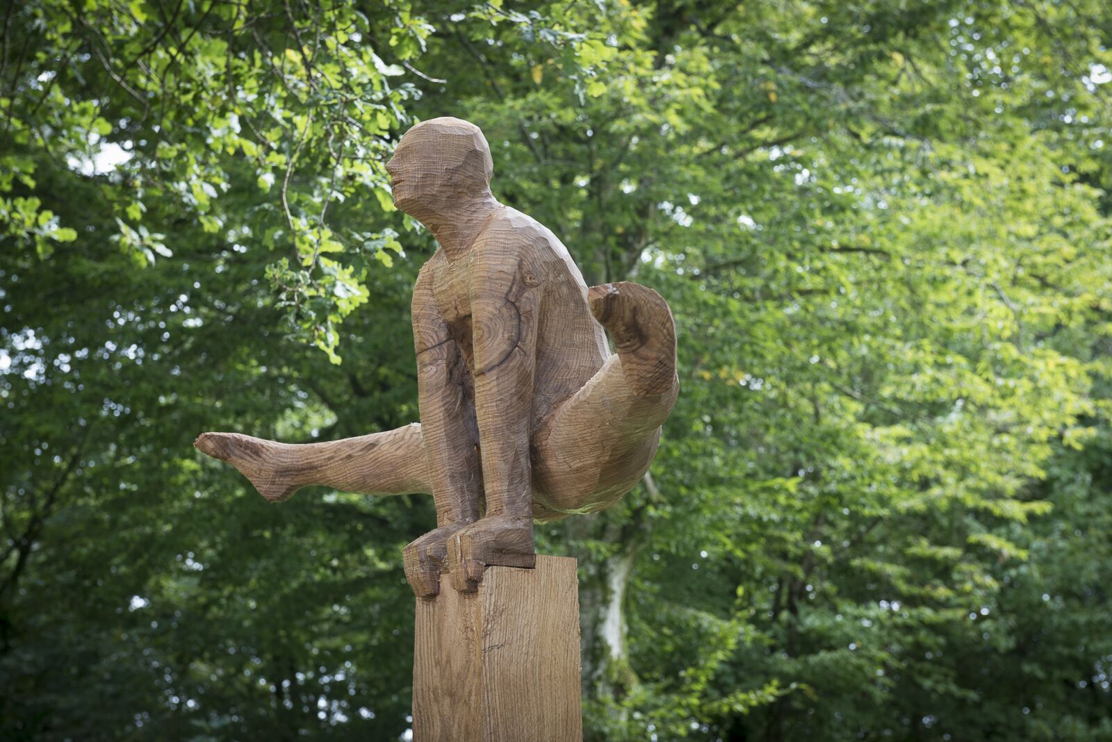 Nikon D800 sample photo. Sculpture, wood, art photography