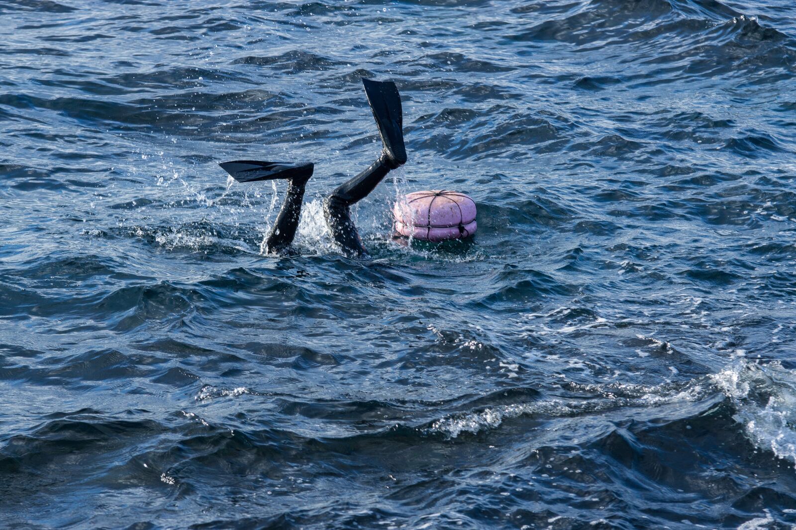Sony SLT-A77 sample photo. Female diver, sea, scuba photography