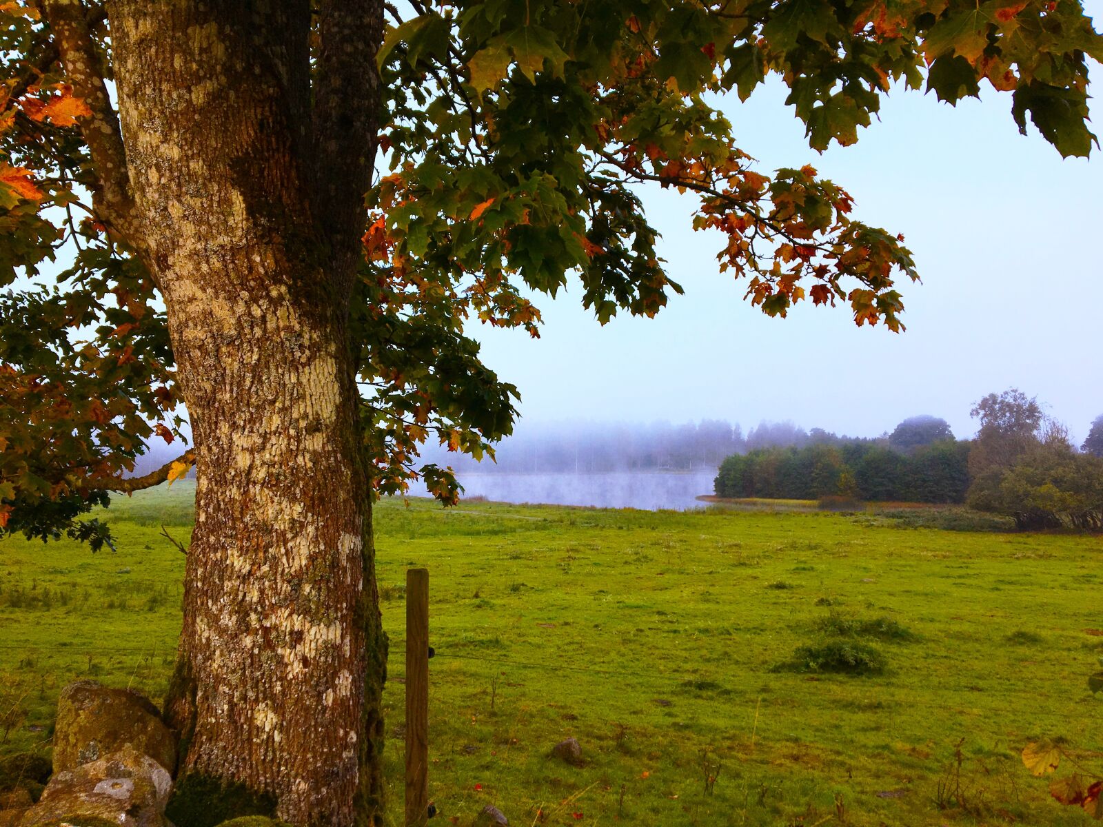 Apple iPhone 6s sample photo. Autumn, himmel, lake photography