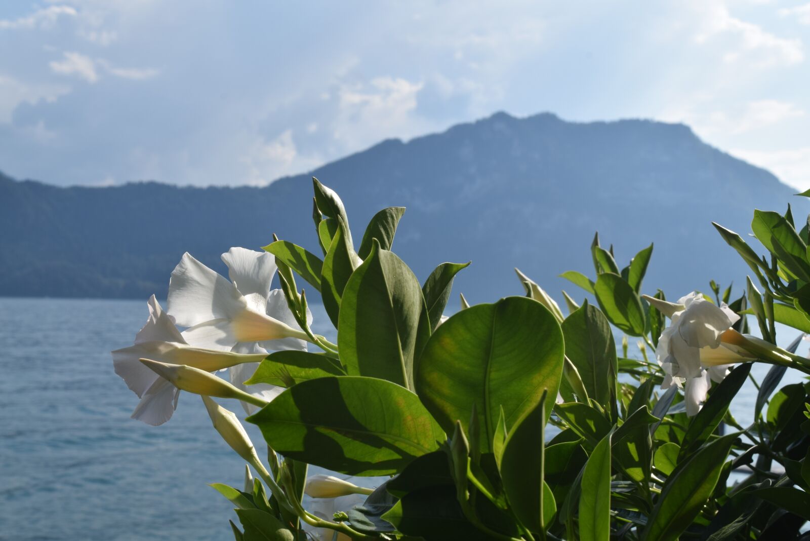 Nikon D3300 sample photo. Europe, switzerland, landscape photography