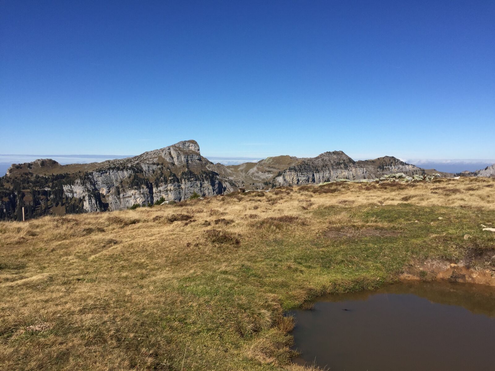 iPhone 6 back camera 4.15mm f/2.2 sample photo. Landscape, mountains, nature, switzerland photography