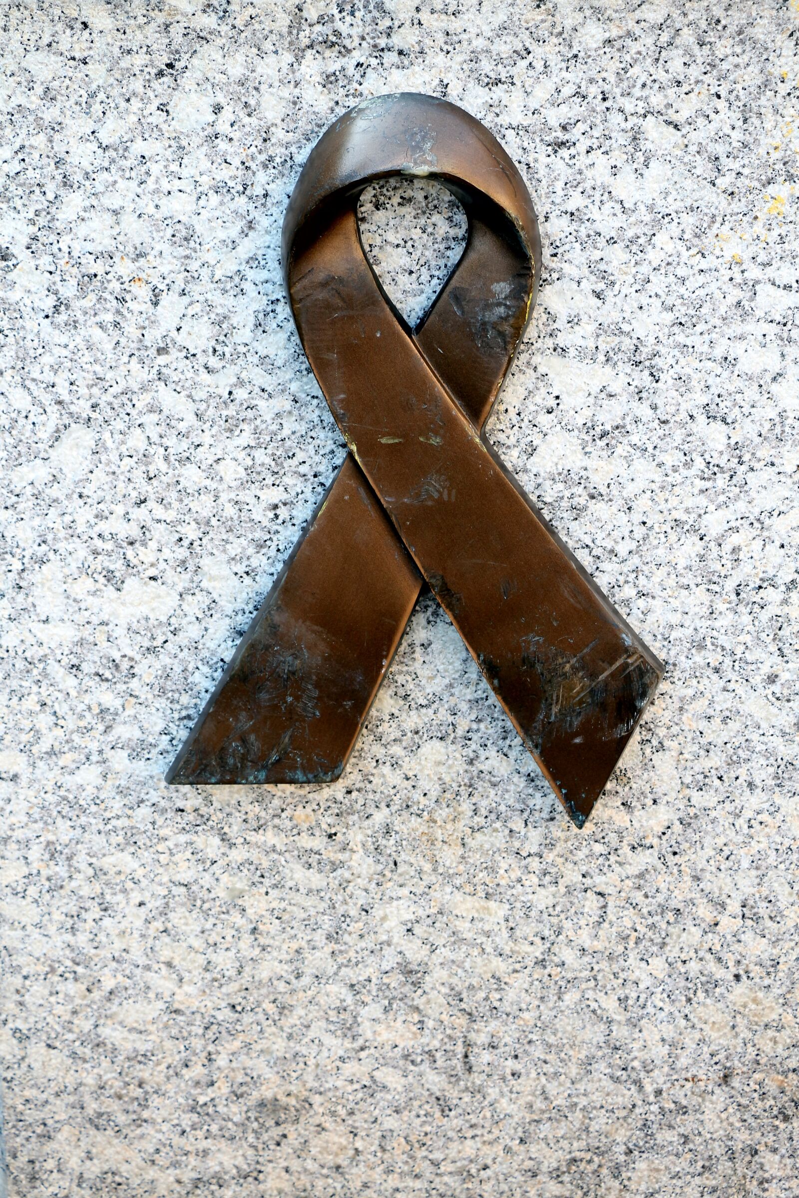 Canon EOS 650D (EOS Rebel T4i / EOS Kiss X6i) sample photo. Loop, bronze, tribute photography