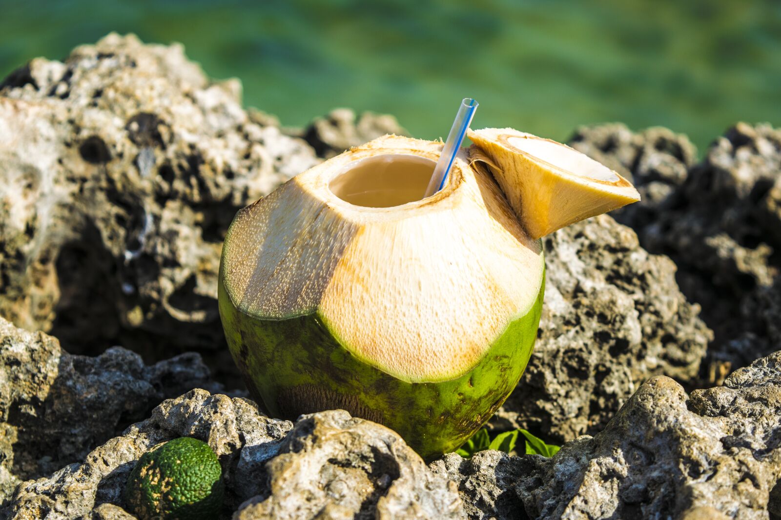Nikon D3300 sample photo. Coast, drink, delicious photography