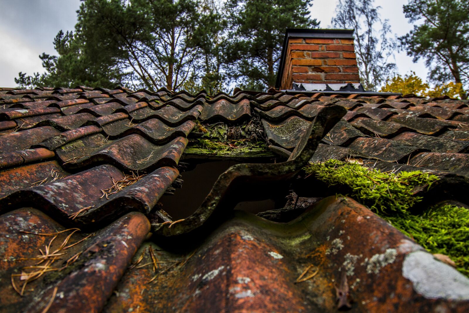 Canon EF-S 10-18mm F4.5–5.6 IS STM sample photo. Roof, tiles, sweden photography
