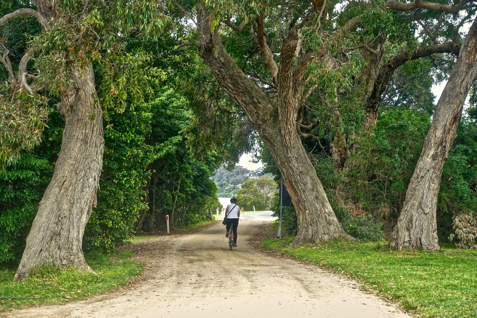 Sony Cyber-shot DSC-RX100 III sample photo. Path, rider, cyclist photography