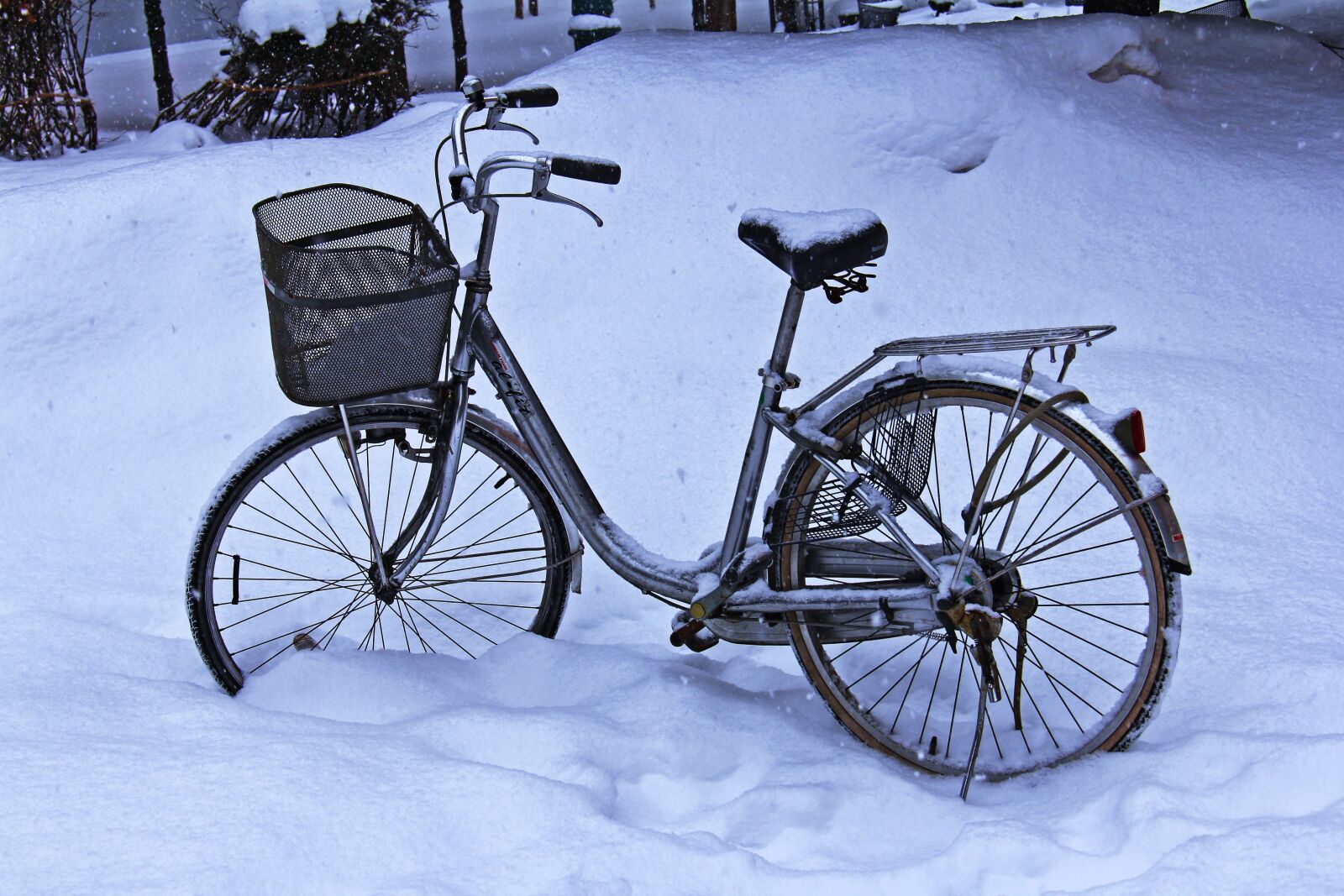 Canon EF-S 18-200mm F3.5-5.6 IS sample photo. Winter, snow, beautiful photography