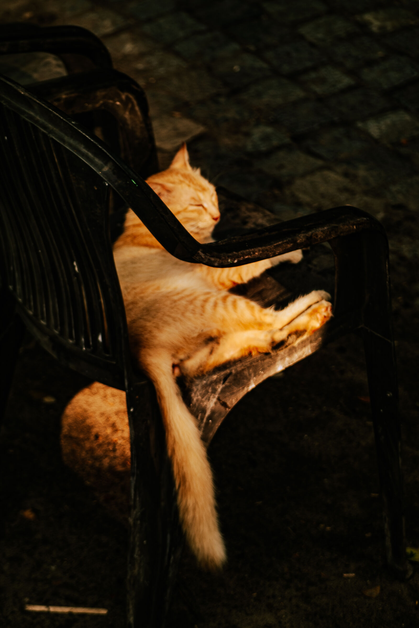 Nikon D3100 sample photo