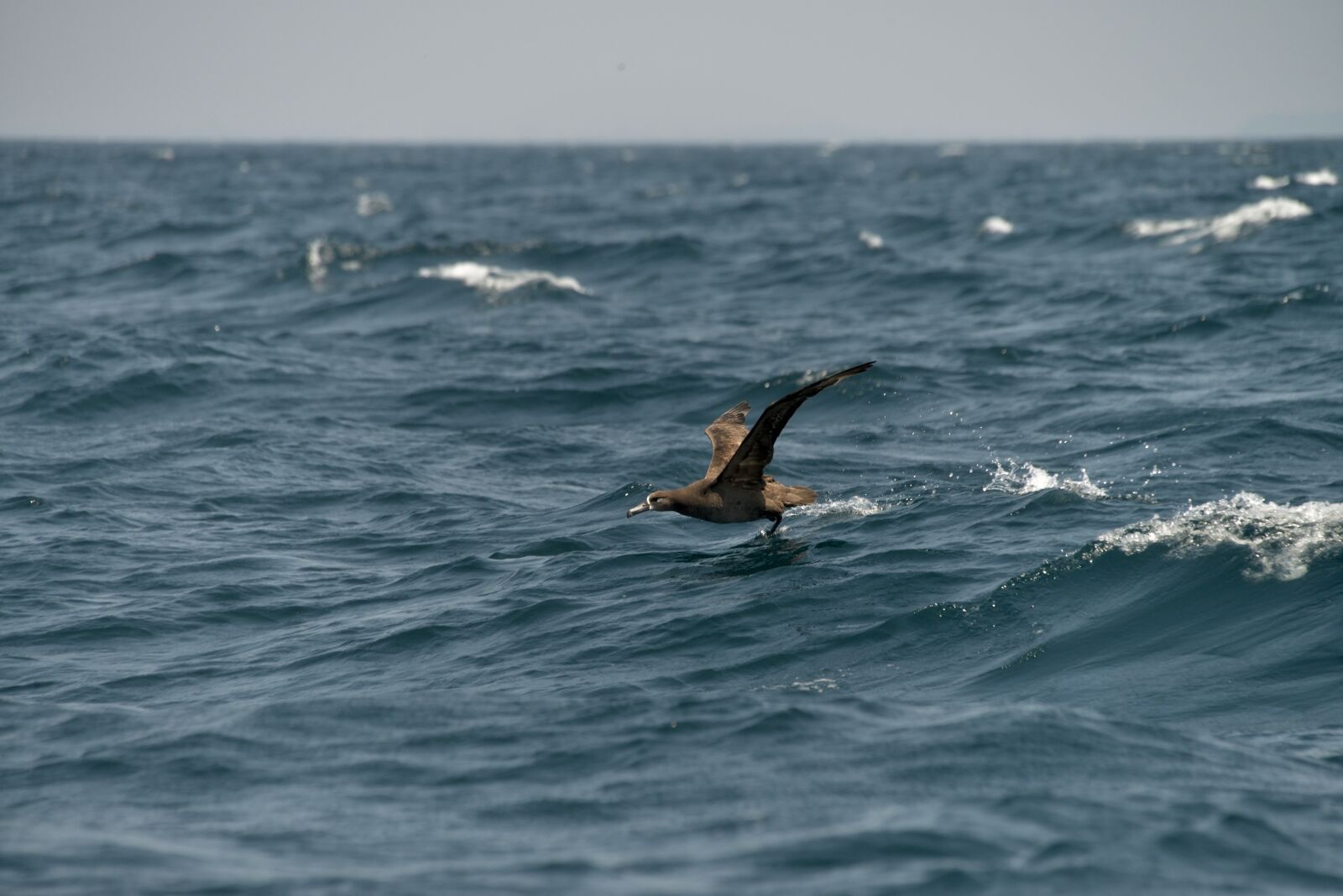 Nikon D800 sample photo. Sea, waters, ocean photography
