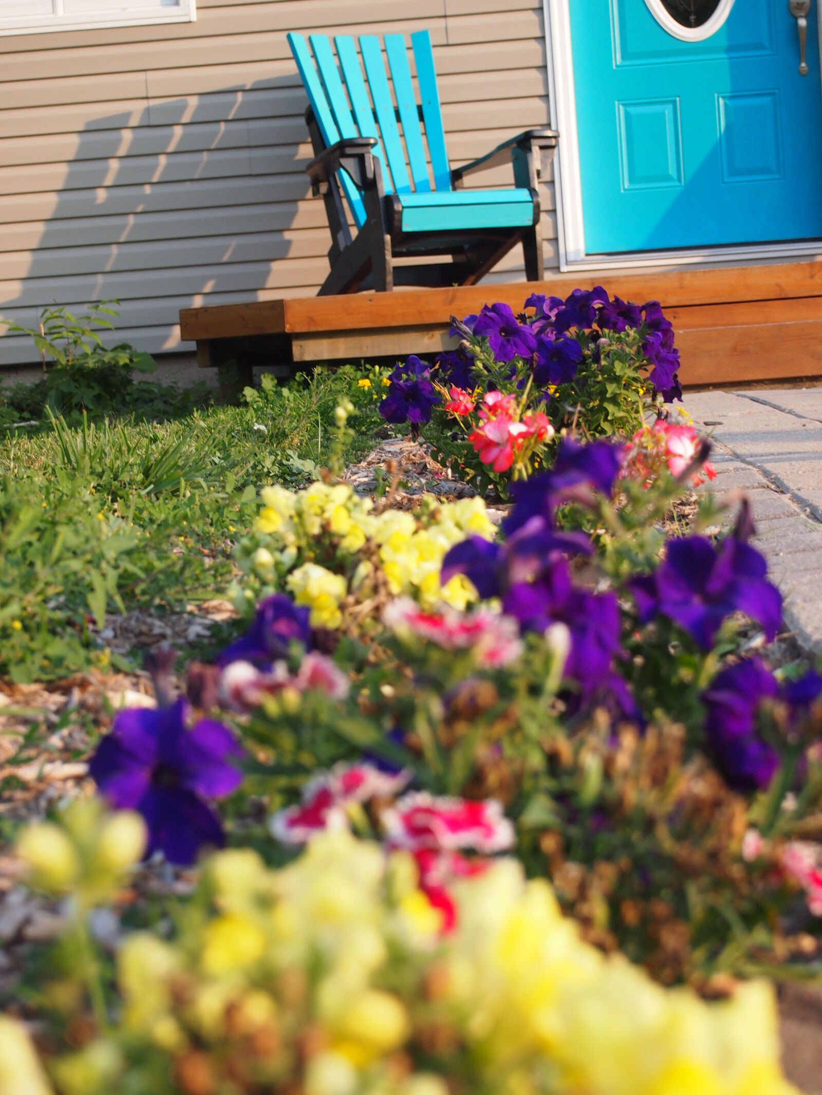 Olympus PEN E-PM1 sample photo. Blue, chair, flowers, summer photography