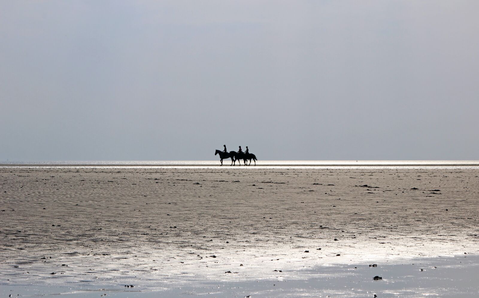 Canon EOS 600D (Rebel EOS T3i / EOS Kiss X5) + Canon TS-E 90mm F2.8 Tilt-Shift sample photo. North sea, beach, nordfriesland photography