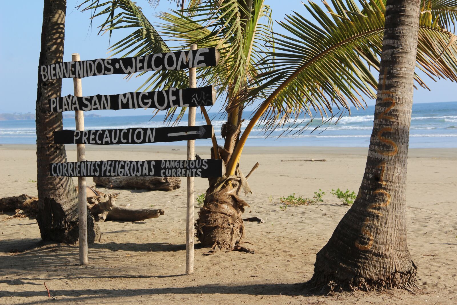 Canon EOS 600D (Rebel EOS T3i / EOS Kiss X5) sample photo. Costa rica, palm trees photography