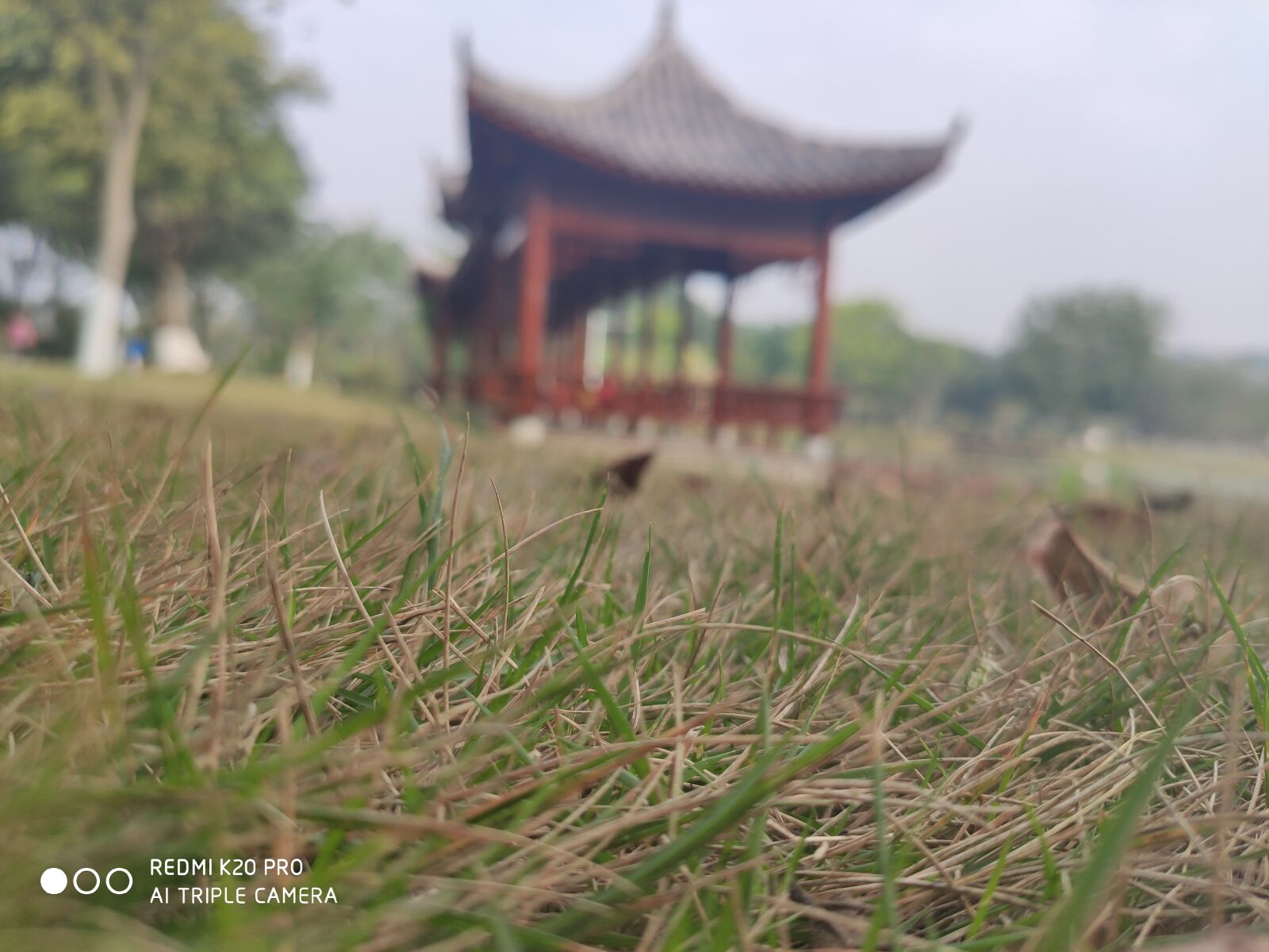 Xiaomi Redmi K20 Pro sample photo. Gazebo, grassland, day photography