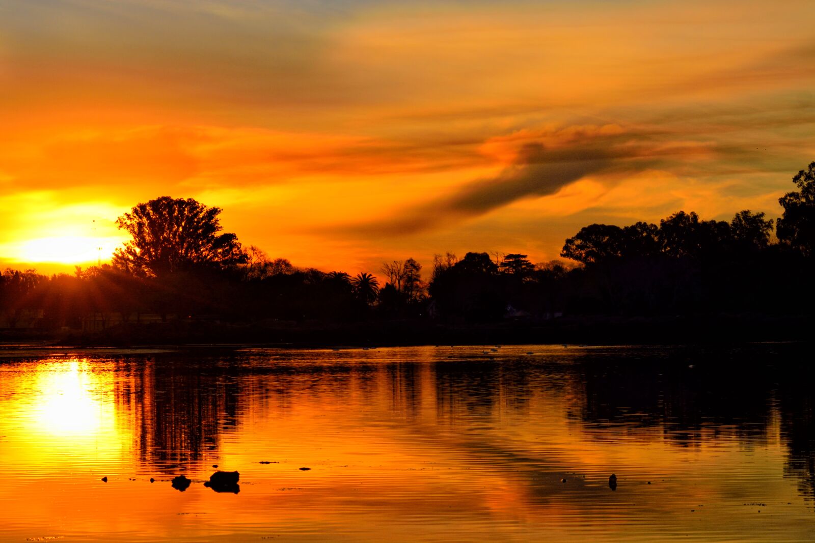 Nikon D5200 sample photo. Reflection, laguna, sun photography