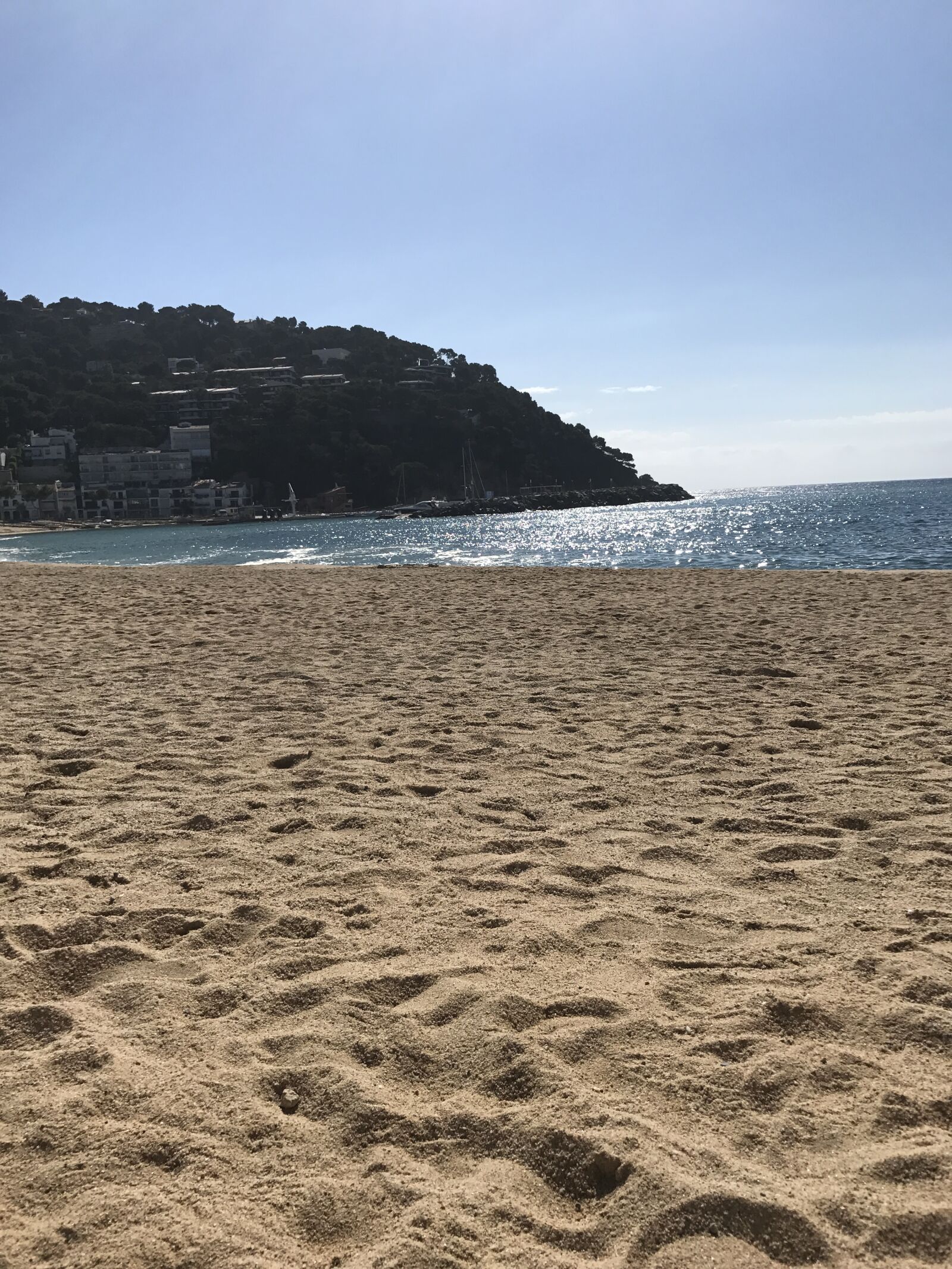 iPhone 7 back camera 3.99mm f/1.8 sample photo. Beach, morning, relax, sand photography