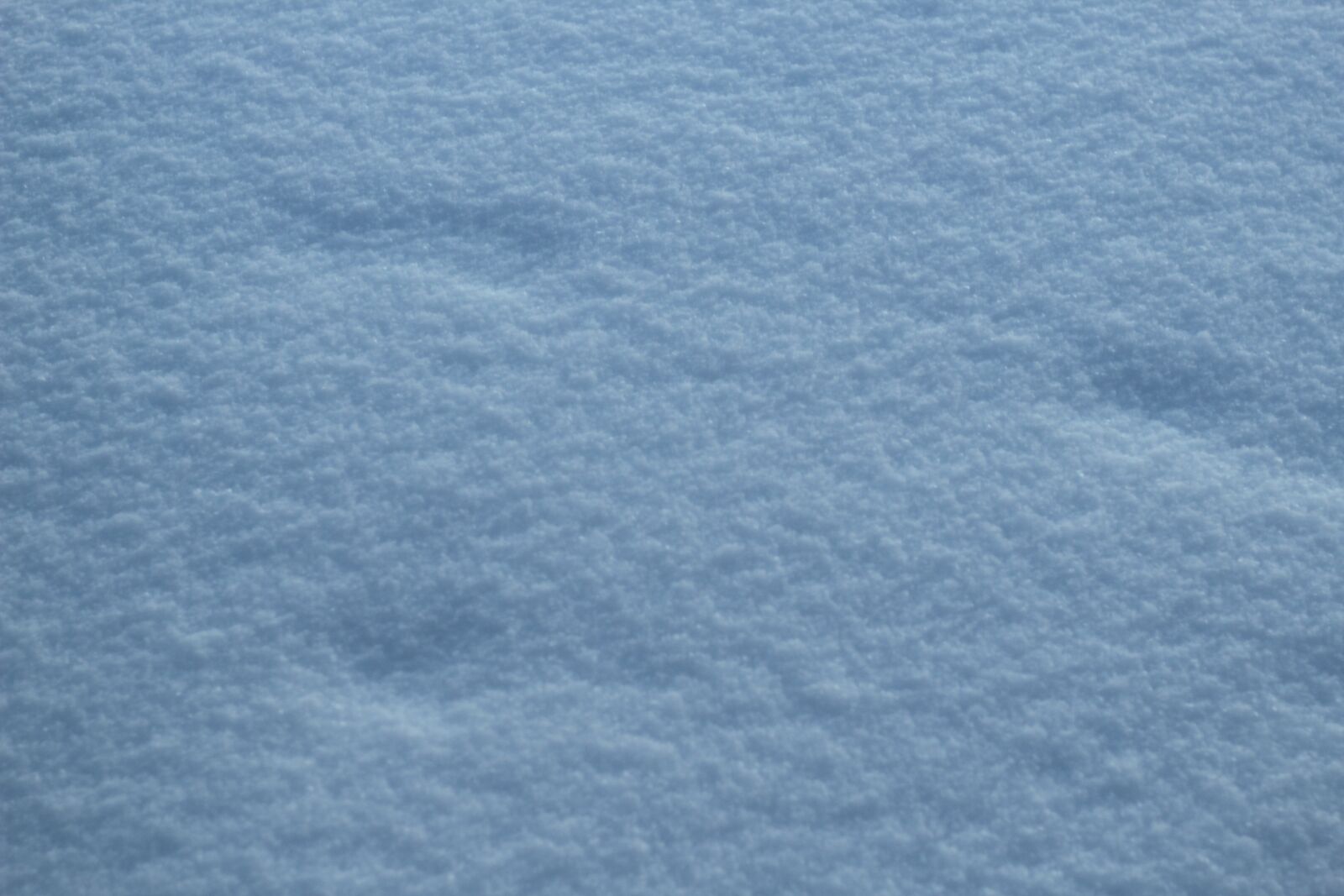 Canon EF 50mm F1.8 STM sample photo. Snow, cold, winter photography