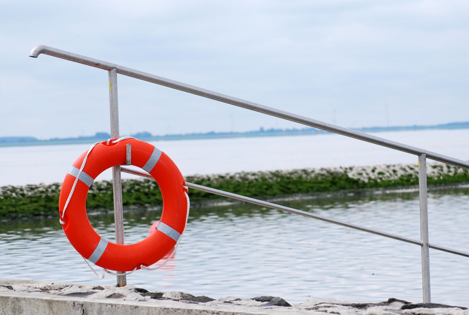 Nikon D60 sample photo. Swim, sea, jade photography