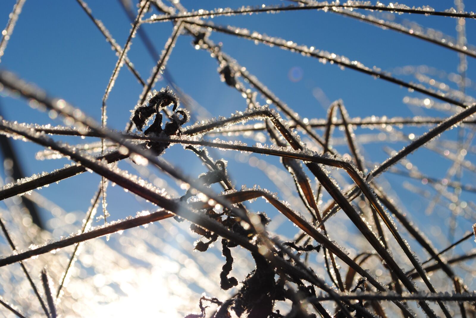 Nikon D3000 sample photo. Ice, snow, nature photography