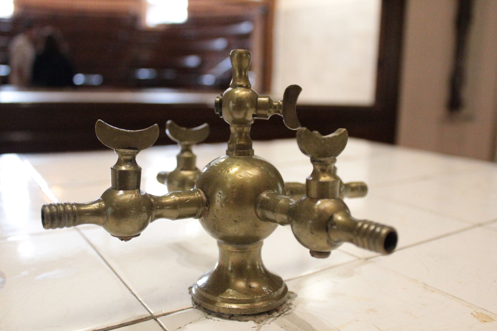Canon EOS 550D (EOS Rebel T2i / EOS Kiss X4) sample photo. Science photography