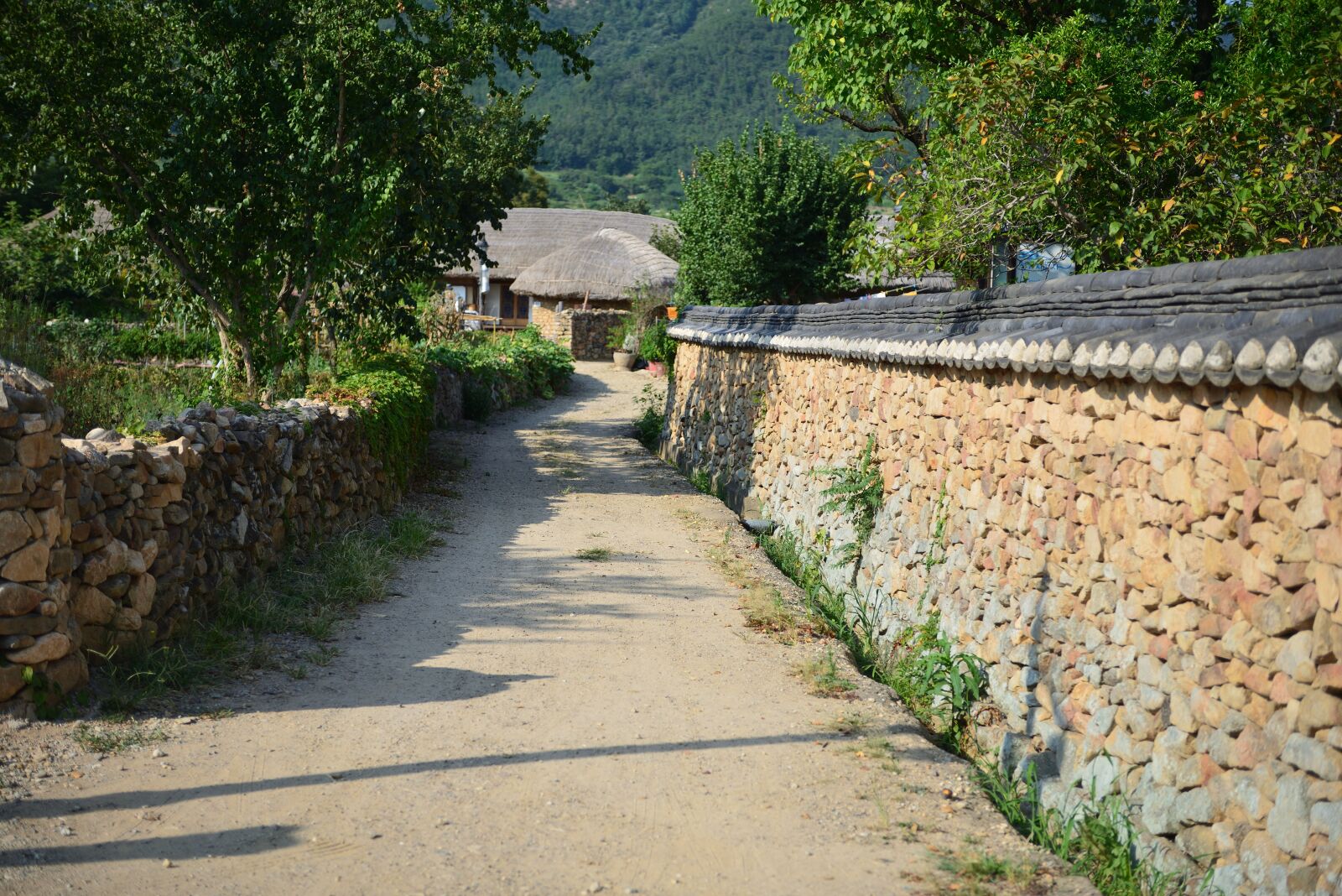 Nikon D800 sample photo. Home, naganeupseong, suncheon photography