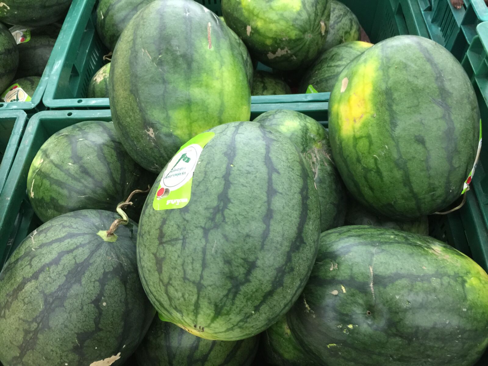 iPhone 6 Plus back camera 4.15mm f/2.2 sample photo. Close, up, of, fruits photography