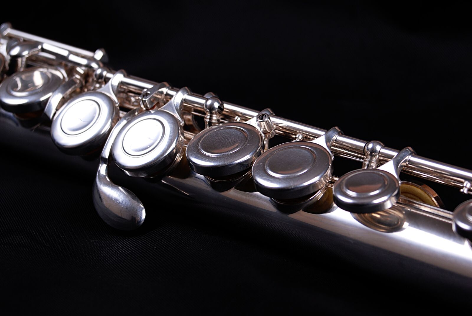 Nikon D200 sample photo. Black, shiny, flute photography