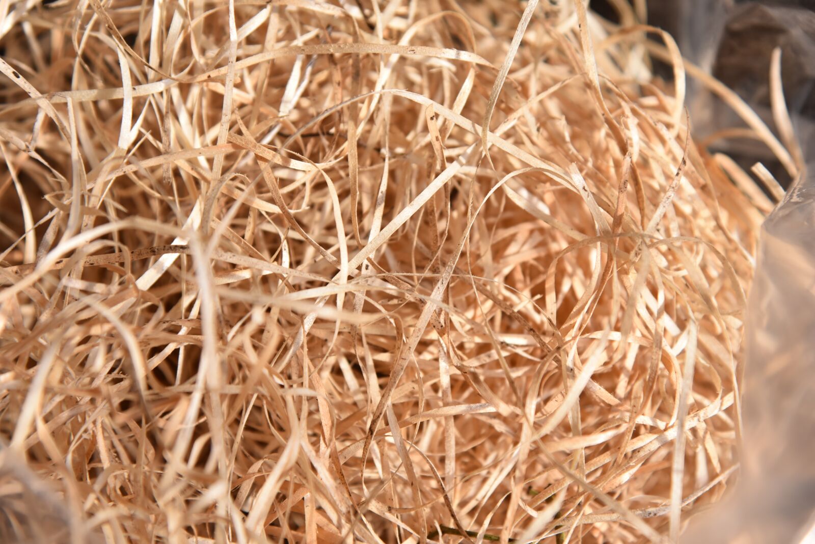 Nikon D750 sample photo. Wood wool, garden, underlay photography