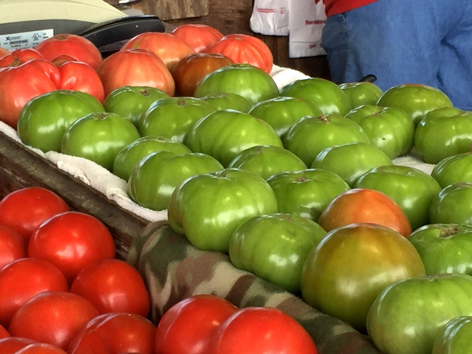 Apple iPhone 6 sample photo. Farmers market, tomatoes, garden photography