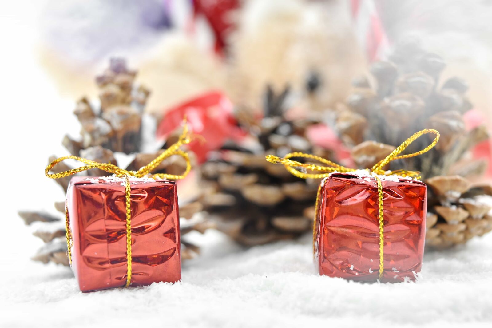 Nikon D5500 sample photo. Christmas, decorative, gifts, giving photography