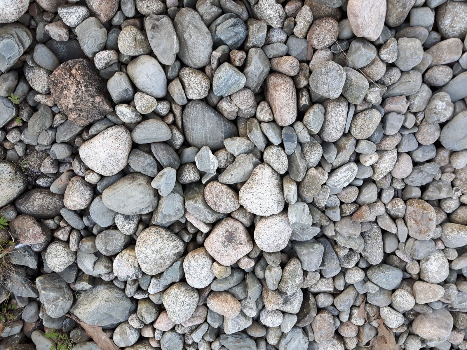 Samsung Galaxy S5 Neo sample photo. Rocks, earth, beach photography