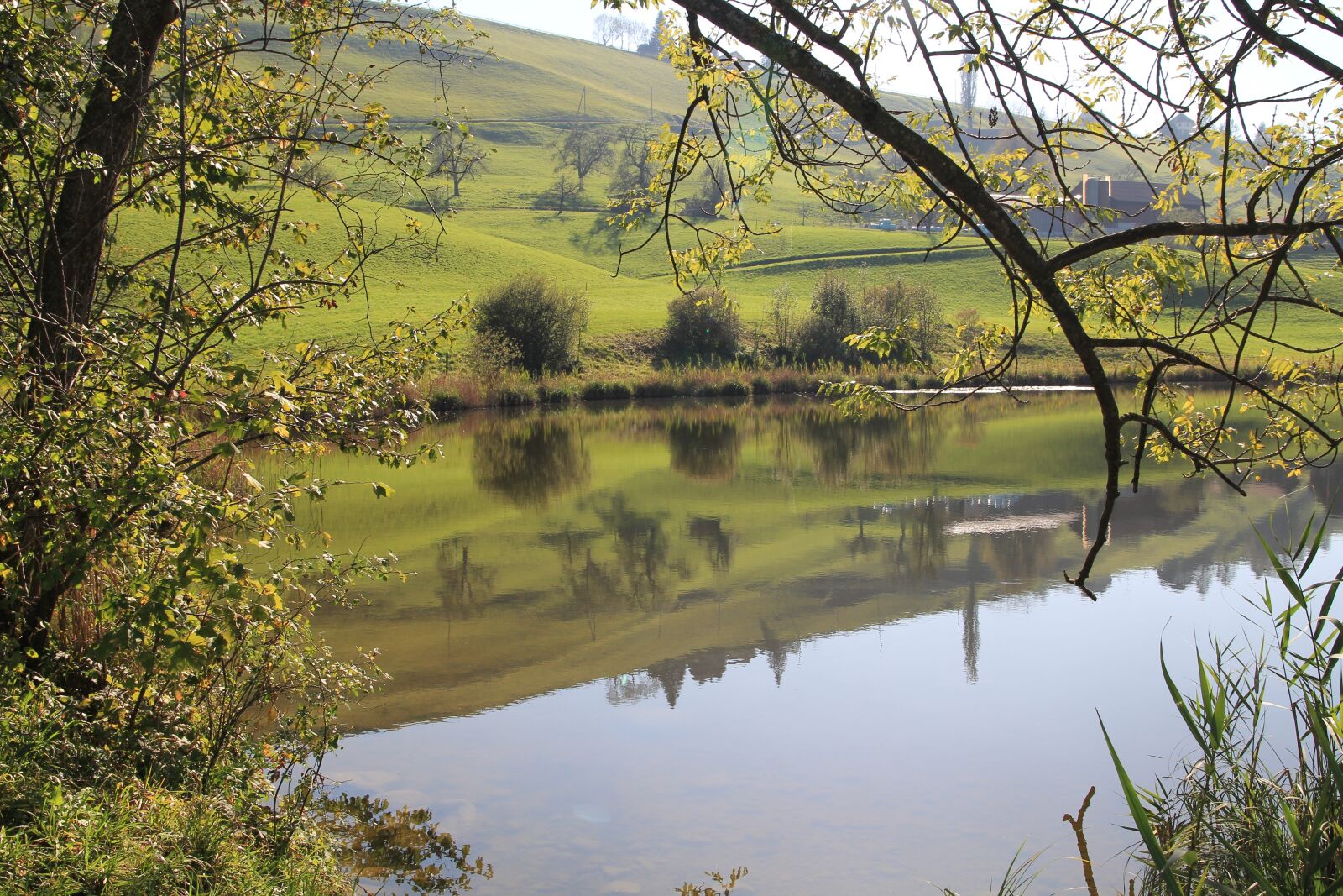 Canon EOS 60D sample photo. Mirroring, water, lake photography