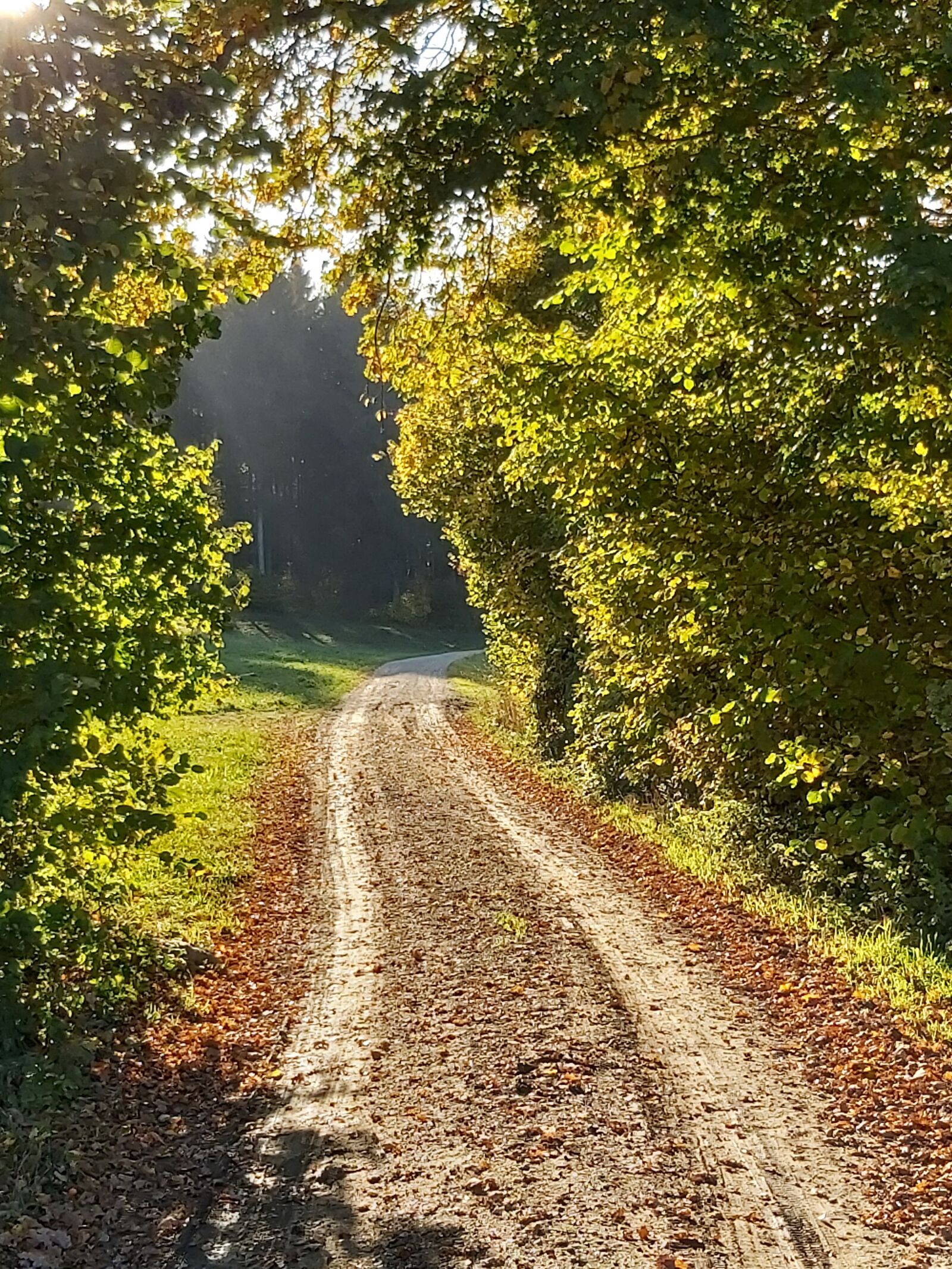 Samsung Galaxy A70 sample photo. Away, goal, walk photography