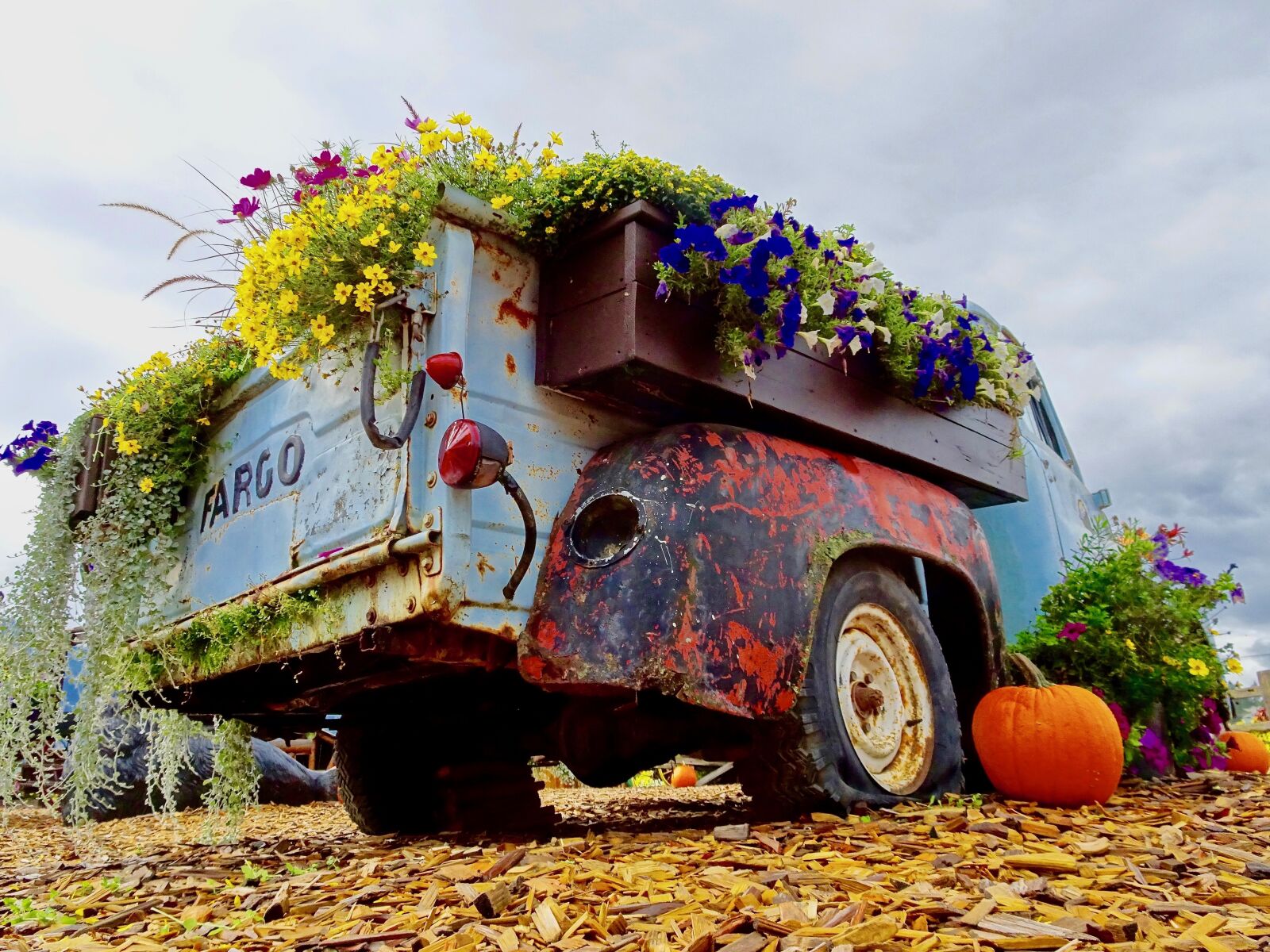 Sony Cyber-shot DSC-HX90V sample photo. Vehicle, flowers, display photography