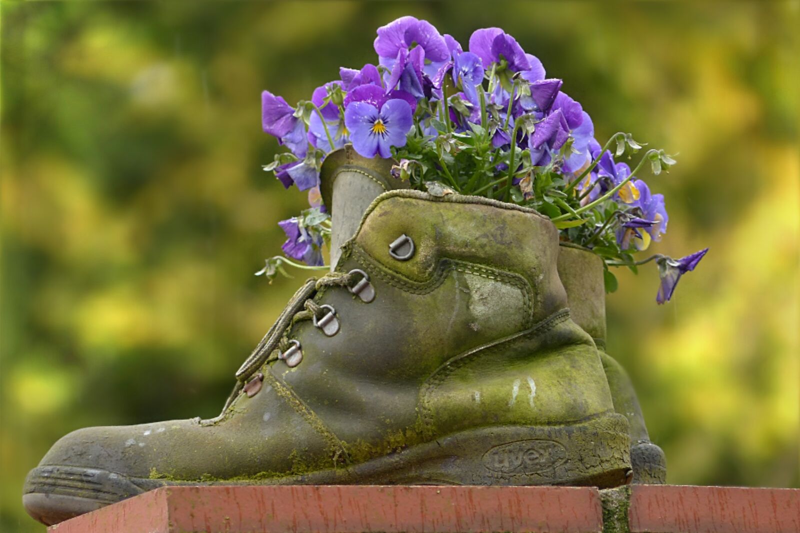 Panasonic Lumix DMC-FZ200 sample photo. Boots, shoes, old photography
