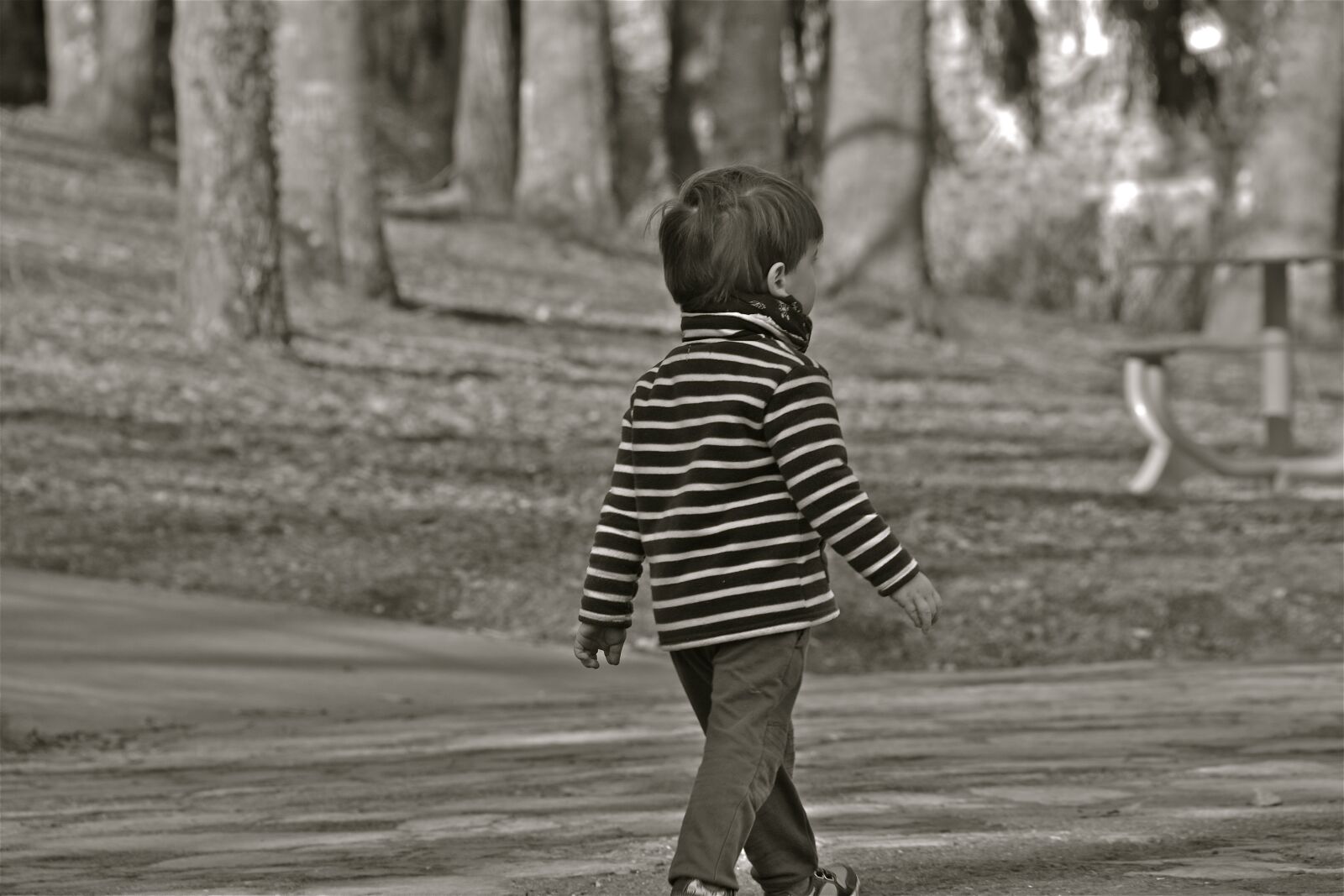 Nikon D5600 sample photo. Child, boy, person photography