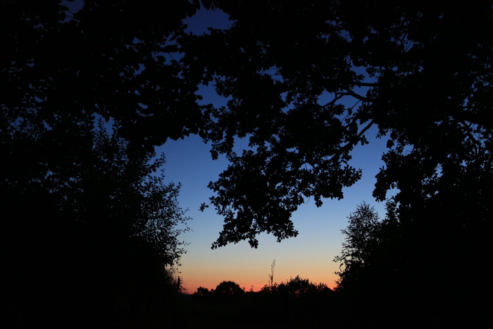 Canon EOS 100D (EOS Rebel SL1 / EOS Kiss X7) sample photo. Sunset, evening, summer photography